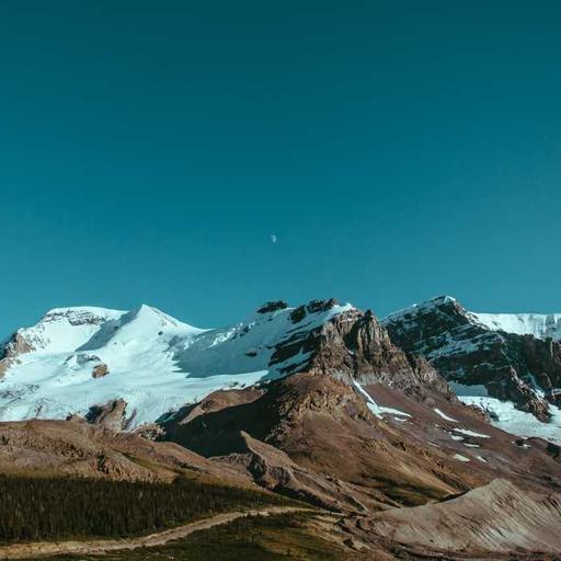 Algoritma Media Sosial dan Pengaruhnya terhadap Opini Publik