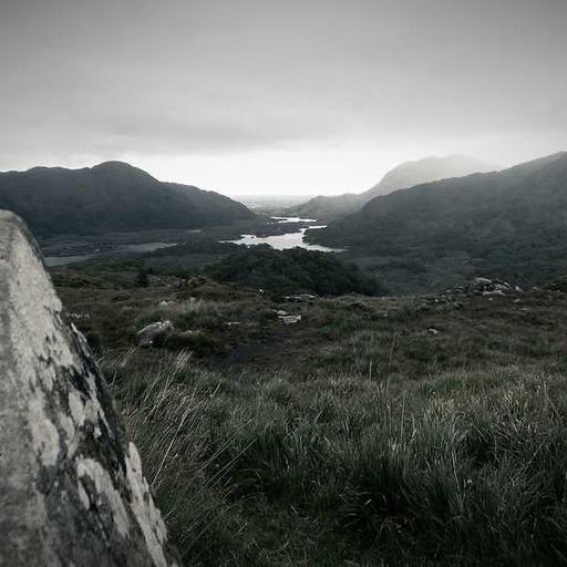 Era Baru Robotika di Dunia Industri dan Kehidupan Rumah Tangga