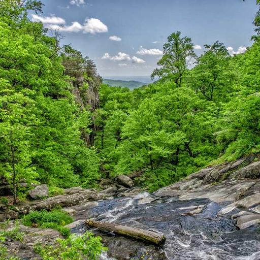 Tips Mengatur Jadwal Belajar Agar Tetap Produktif